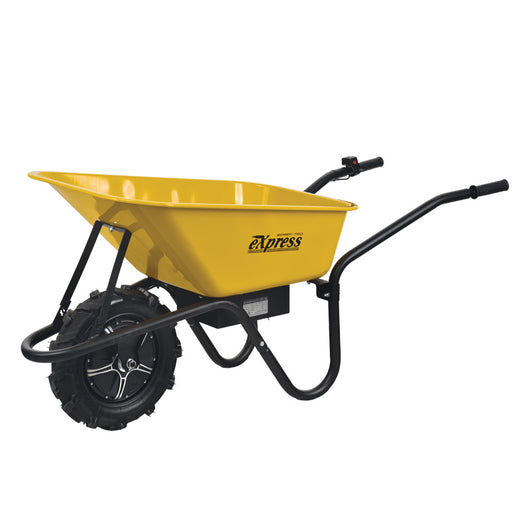 ΗΛΕΚΤΡΙΚΟ ΚΑΡΟΤΣΙ 24V/12Ah, 150 kg