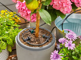 13300-20 Σετ Gardena AquaBloom