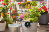 13300-20 Σετ Gardena AquaBloom