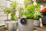 13300-20 Σετ Gardena AquaBloom